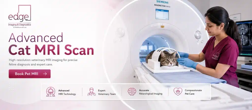 Advanced cat MRI scan advertisement