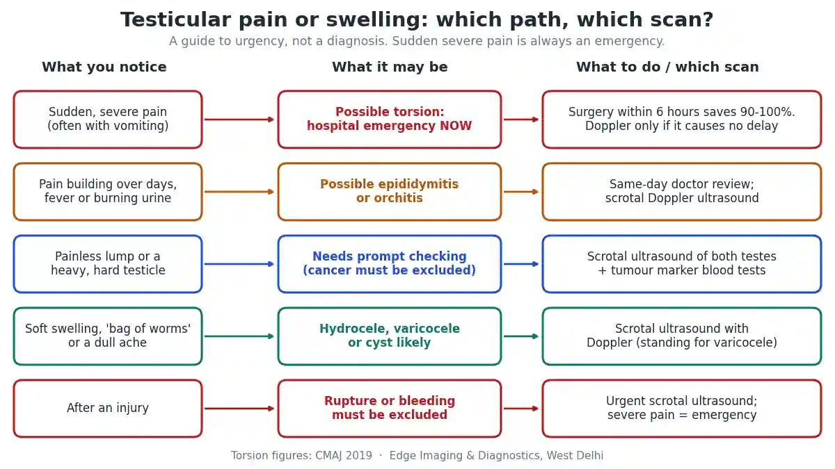 Testicular pain flowchart showing which symptoms suggest testicular torsion, epididymitis, a testicular lump, hydrocele or varicocele, and which scrotal ultrasound or emergency step is needed
